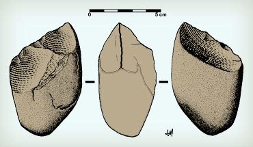 Homo Habilis: Early Toolmakers - The Human Journey