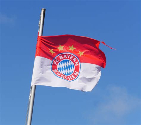 Download free photo of Fc bayern munich,club flag,sturmerprobt ...