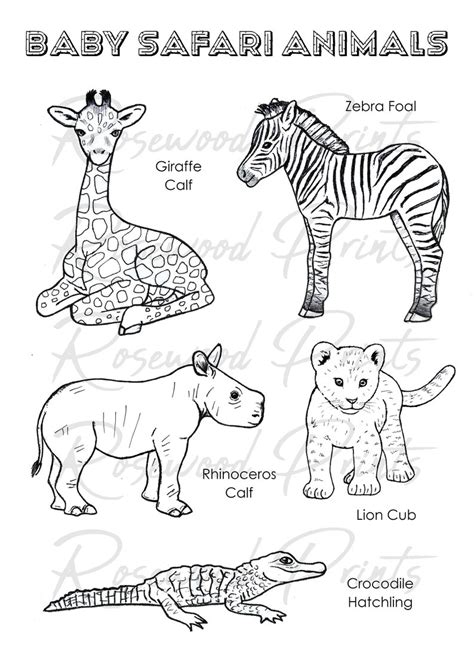 Baby Safari Animals Coloring Pages - Etsy