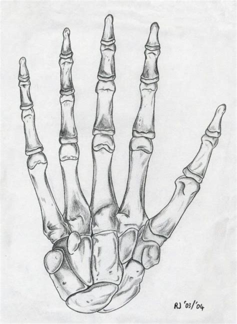 Skeleton Hand Drawing