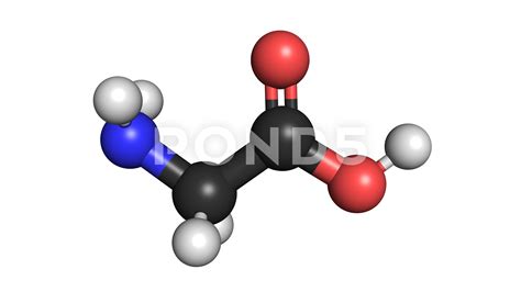 Amino Acid Molecule Structure