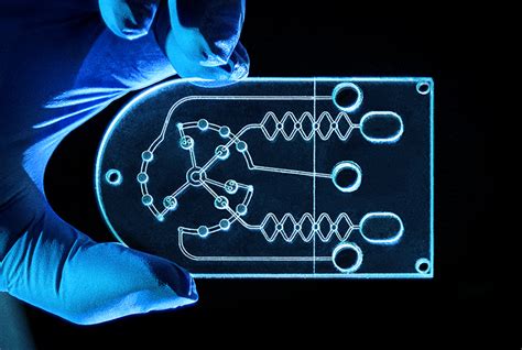 International Conference On Microfluidics | Honeycombers Singapore