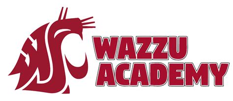 WAZZU ACADEMY