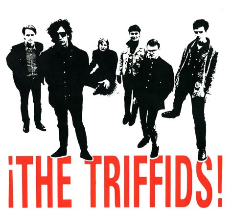 janglepophub: Album Review: The Triffids - Born Sandy Devotional (1986) (Hot Records)