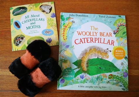 Bethany 🌟 Winter Dragon Crafts on Instagram: “Woolly Bear Caterpillars ...