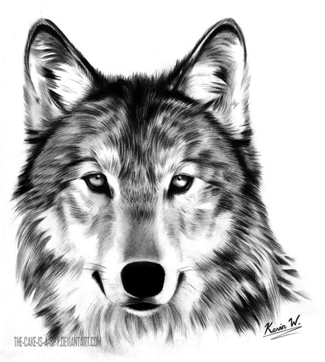 2 Wolves Drawings In Pencil : ART WOLF HOWLING PENCIL DRAWING 8"X10 ...