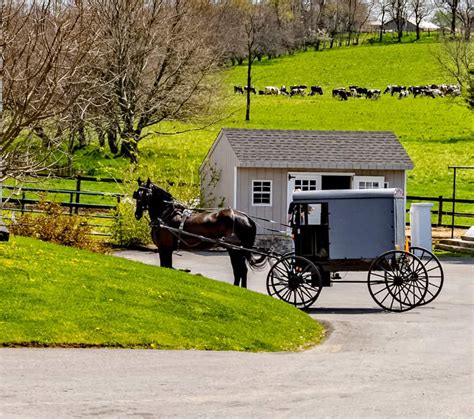 Amish Culture - Inn at Twin Linden