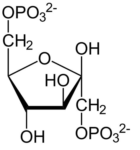 Fructose 1,6 Bisphosphate | SIELC