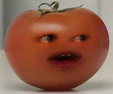 Tomato - Annoying Orange Wiki, the Annoying Orange encyclopedia