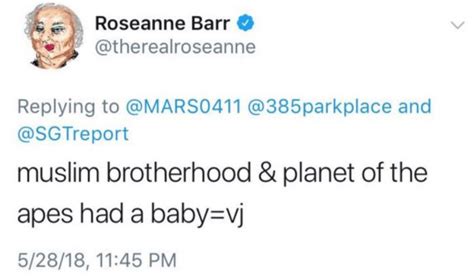 Roseanne Cancelled Because of Star's Racist Tweet