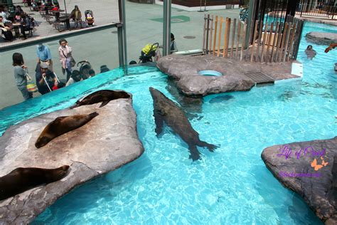 Ueno Zoo | Tokyo, Japan - Life of Creed