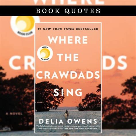 10 Best Where The Crawdads Sing Quotes Images from the Book