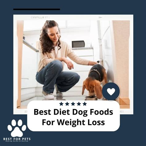 The 15 Best Diet Dog Foods For Weight Loss - BestForPets.org