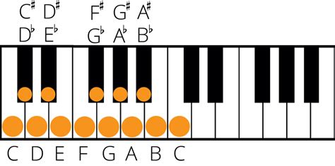 Enharmonic Equivalent Notes and Scales: A Music Theory Guide