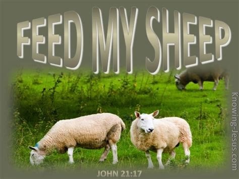 John 21:17 Feed My Sheep (beige)