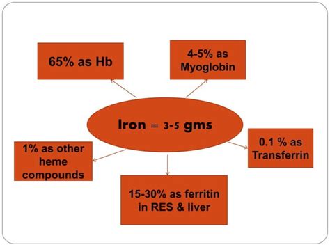 Iron metabolism