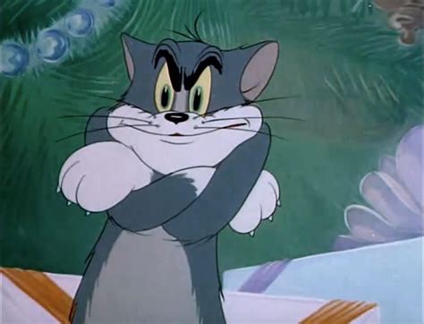 List of Tom and Jerry Internet Memes | Tom and Jerry Wiki | Fandom