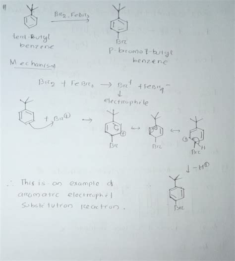 [Solved] Draw mechanism of tert-Butyl benzene with Br2 and iron ...