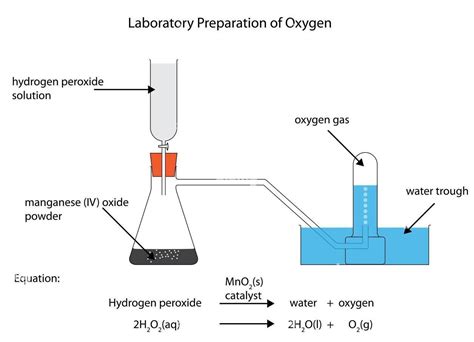 Draw a well labelled diagram for the laboratory preparation of nitrogen ...