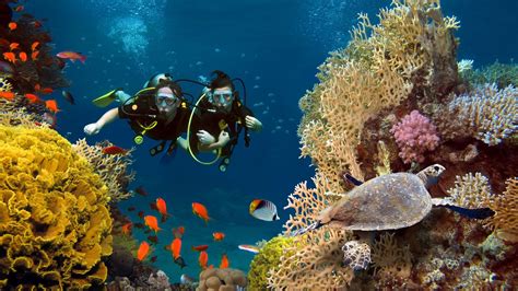 Indian ocean scuba dive | Swodana Bay | andBeyond