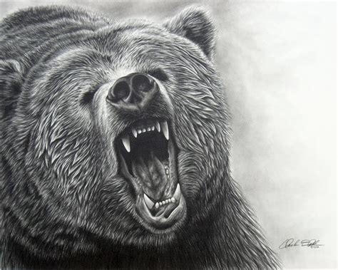 Realistic Animal Drawings: Realistic Animal Drawing Grizzly Bear Roaring By Eidolic