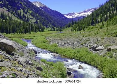 8,263 Colorado Elk Royalty-Free Photos and Stock Images | Shutterstock