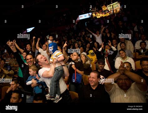 Fans cheer at the end of a Lucha Libre fight in Arena Mexico, Mexico Stock Photo: 29255249 - Alamy