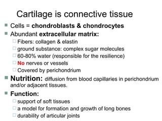 Cartilage lecture | PPT