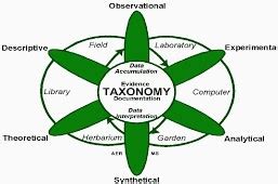 Utilizations and Applications of Biosystematics Steps in chemotaxonomy Sub-atomic Taxonomy