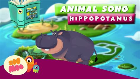 ZooMooPedia | Hippopotamus Song - YouTube