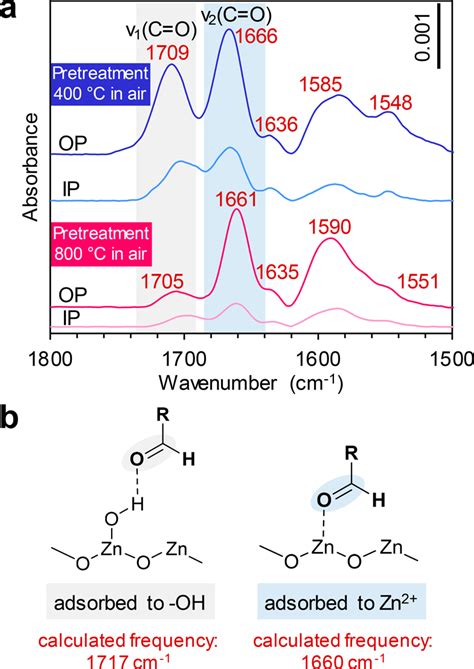 (a) IR pMAIRS spectra (1770−1620 cm −1 ) of nonanal adsorbed on ZnO... | Download Scientific Diagram