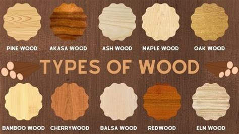 40+ Different Types of Wood | Lumber Or Wood Types | Popular Hard Wood ...