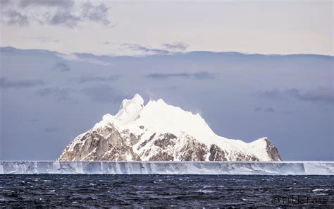 MV FRAM EXPEDITION BLOG: Elephant Island, the entrance to Antarctica