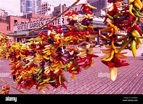 Pike Place Market, Seattle, Washington State, USA - Hot Peppers hanging on Display for Sale ...