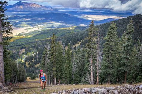 Flagstaff Sky Peaks 2024 - Flagstaff - Local Freshies