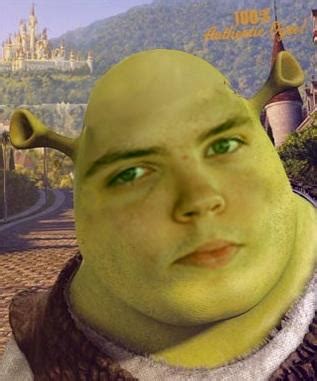 Shrek just became more attractive! : r/AdmiralBulldog