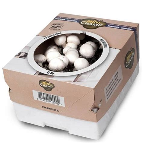 Mushroom Kit - White Button Mushrooms | YouGarden