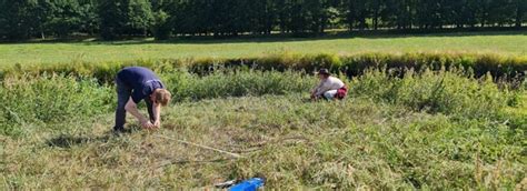 Excavating the land site at the Tollense Battlefield - Leiden ...