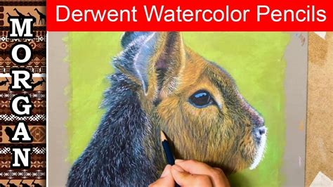 Watch Tutorial On Watercolor Paint And Pencil Animal Art