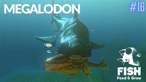 Feed And Grow Fish : Megalodon - YouTube