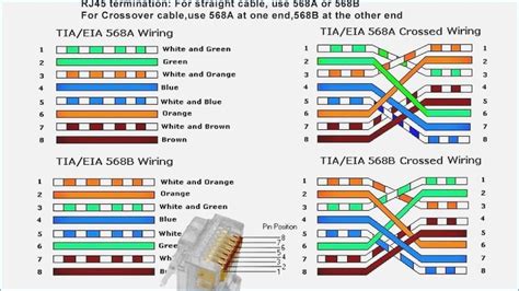 Cat 6 Wiring Diagram Rj45 Wiring Diagrams Of Rj45 Cat 6 Wiring Diagram ...