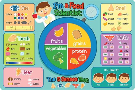 Food Scientist Disposable Placemats for Baby, Toddler and Kids - Neat and Clean Table Mat ...