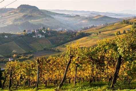 36 Hours in Barolo, Italy - The New York Times