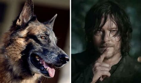 The Walking Dead: Dog and Daryl’s first meeting exposed by Carol | TV & Radio | Showbiz & TV ...