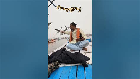 Prayagraj | Triveni Sangam | Allahabad | #prayagraj #trivenisangam #boating #solojourney - YouTube