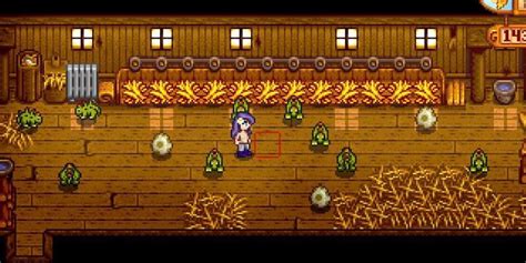 How to Get Dinosaur Eggs in Stardew Valley