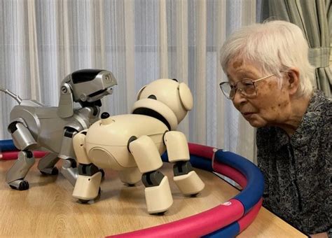 Robots: The future of elderly care?