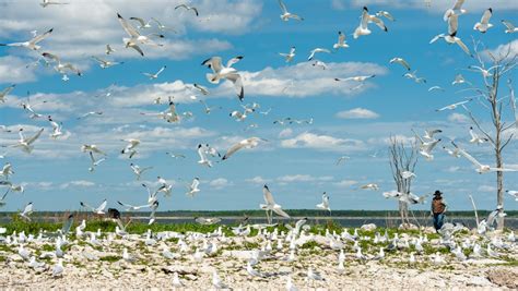 Sask’s big bet on water: A potential threat to a massive ecosystem ...