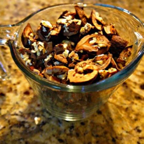 Recipe: Hickory nut ambrosia, an easy-to-make fall drink - Tyrant Farms