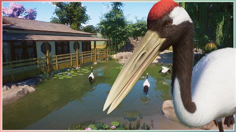 Red Crowned Crane Habitat | Mayberry Park Zoo | Planet Zoo Speed Build - YouTube